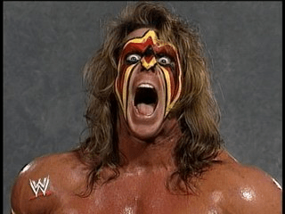 19 UltimateWarrior